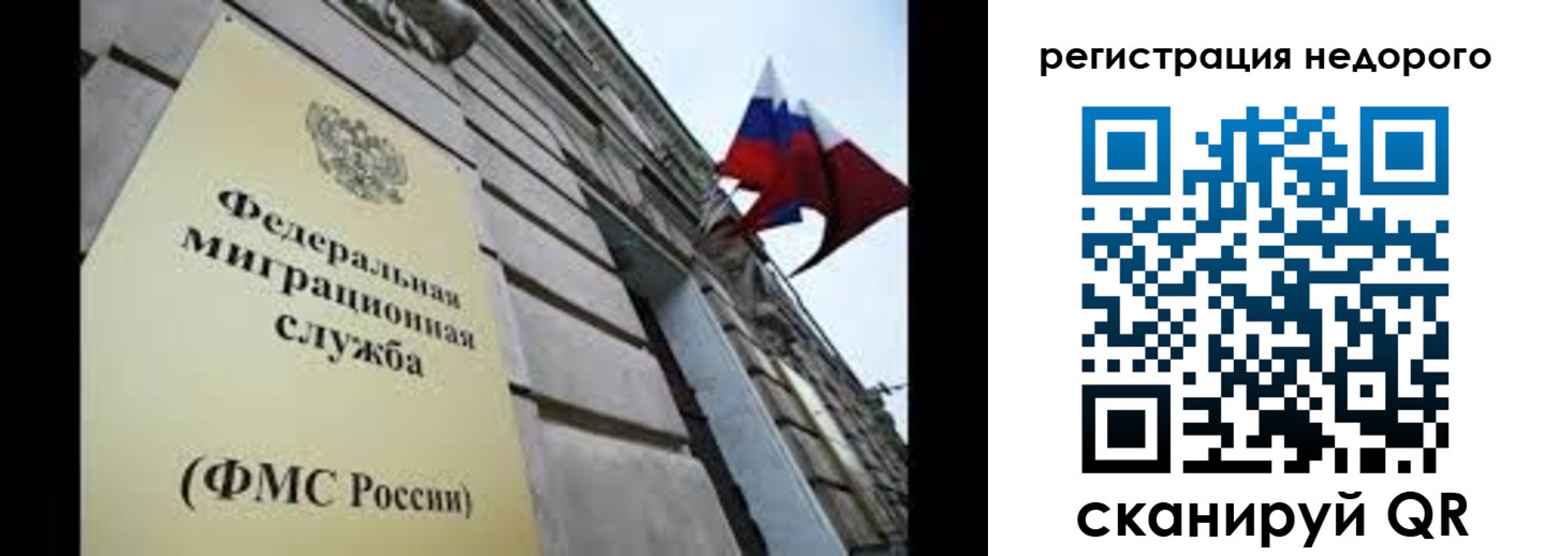 прописка поиск в Зеленодольске